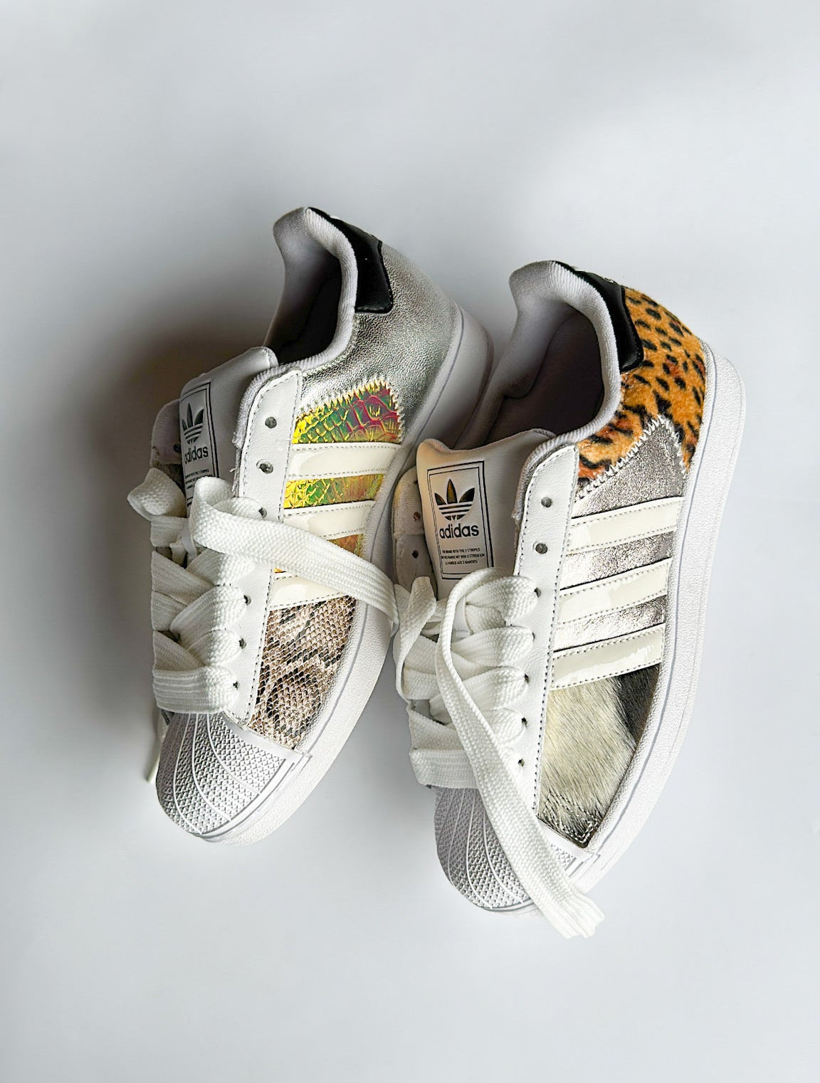 “What The Superstars” 🌟